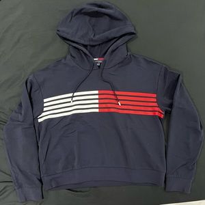 Tommy Hilfiger Small Hoodie